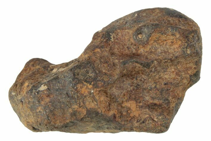 Agoudal Iron Meteorite ( g) - Morocco #245604